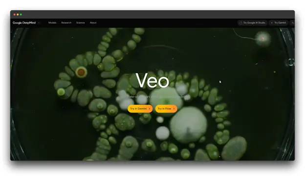 A screenshot of the Google DeepMind Veo webpage, showcasing a creative AI Tool for Content Creation, with the word "Veo" overlaid on a rabbit-like image made of organic shapes.